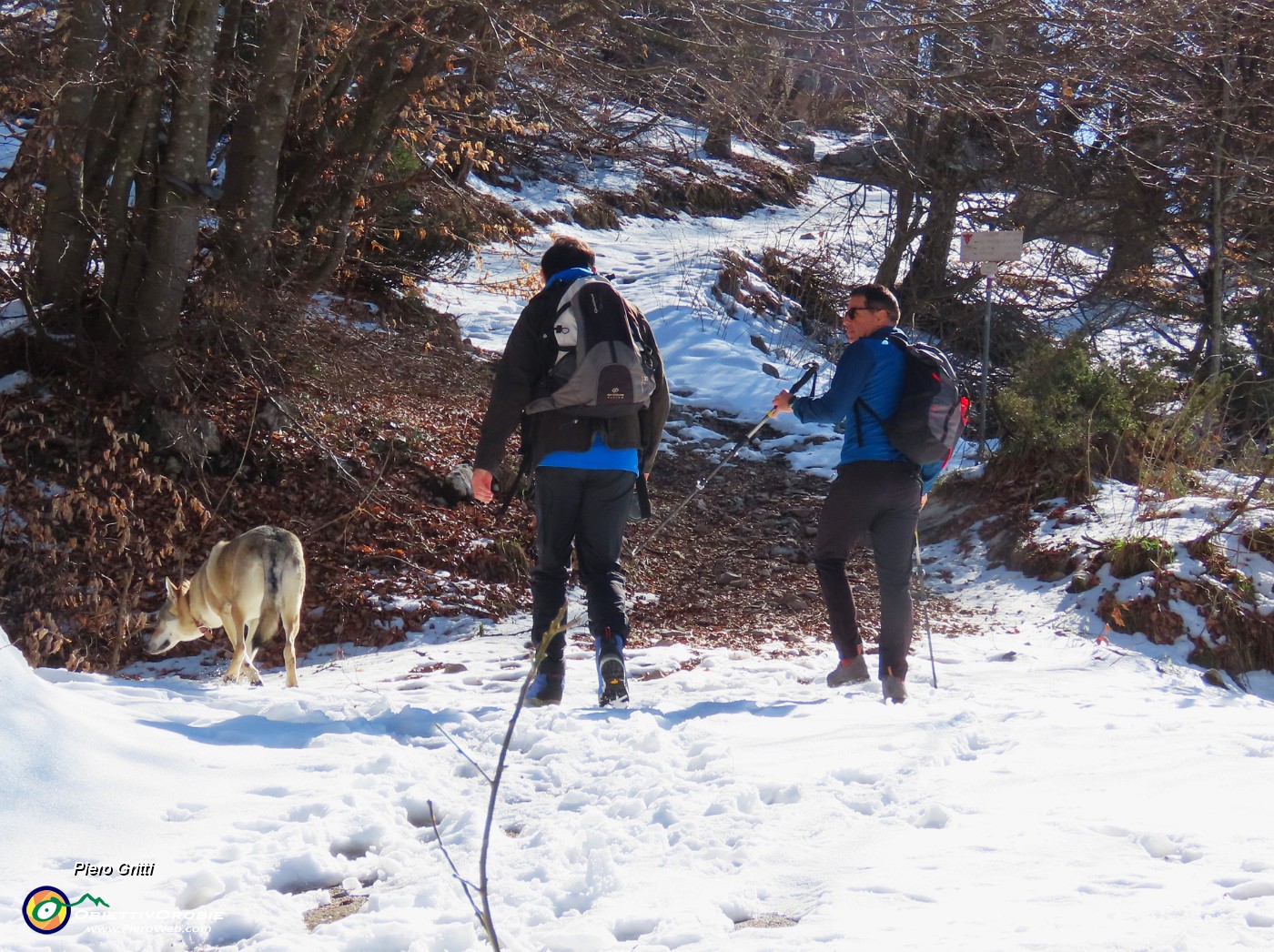 15 Qui inizia il sentiero 579 innevato per Bocca del Grassello .JPG